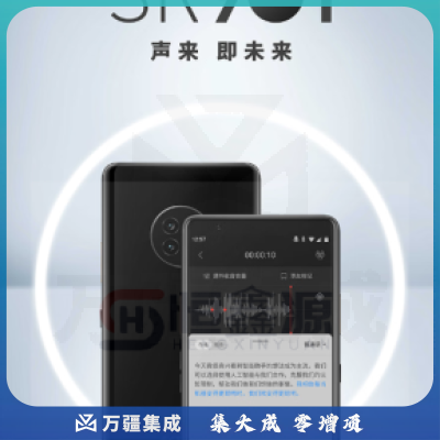 科大讯飞 AI智能录音笔SR901 录音转文字 视频实时翻译 2+10麦克风拾音 OCR识别 离线转写 64G+云储存 钢琴黑