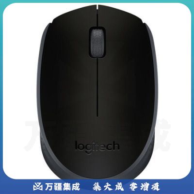 罗技（Logitech） M171(M170) 无线办公鼠标 家用商务对称鼠标 带无线2.4G接收器 M171 黑灰