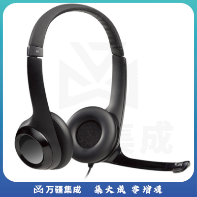 罗技(Logitech) H390 头戴式立体声耳机耳麦 USB有线耳机带麦 电脑笔记本办公耳麦培训 黑色