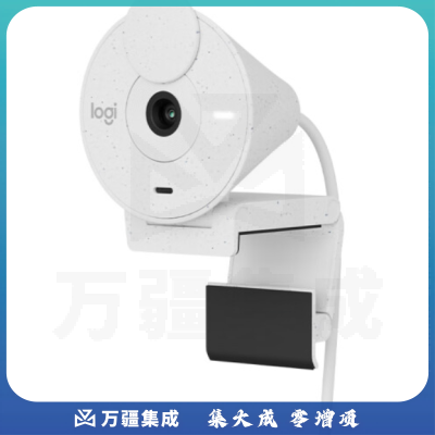 罗技(Logitech)BRIO 300高清网络摄像头 电脑网课会议直播家用台式主动降噪1080P 白色