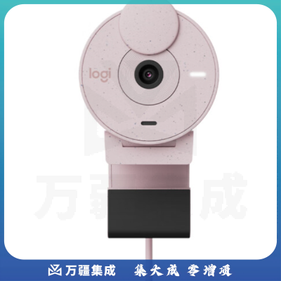罗技(Logitech) BRIO 300 高清网络摄像头 电脑网课会议直播家用台式主动降噪1080P 粉色