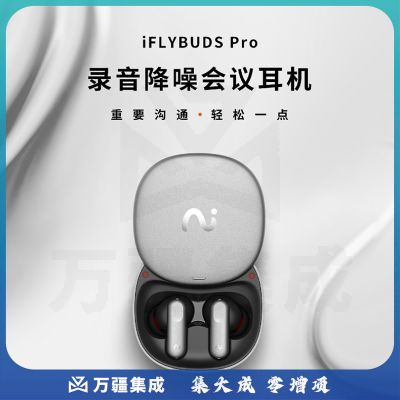 科大讯飞录音降噪会议耳机iFLYBUDS Pro 无线蓝牙耳机 主动降噪 入耳式 超长续航 录音转文字 苹果华为通用