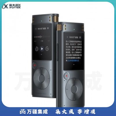 科大讯飞 IFLYTEK SR302 Pro智能录音笔 全离线转写
