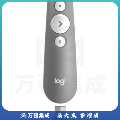 罗技（LOGITECH）R500 无线演示器 激。光笔 ppt翻页笔 无线蓝牙双连 Mac iOS兼容