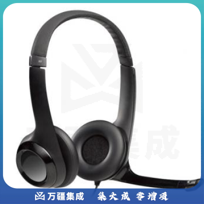 罗技（Logitech）H390 USB立体声电脑耳机麦克风 黑色