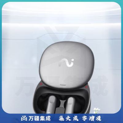 科大讯飞 录音降噪会议耳机iFLYBUDS 无线蓝牙耳机 主动降噪 入耳式 超长续航 录音转文字 苹果华为通用