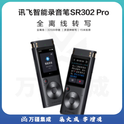 科大讯飞（iFLYTEK）AI智能录音笔SR302 Pro 星空灰