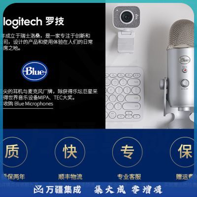 罗技 Blue Snowball-iCE 电容麦克风电脑直播设备会议直播游戏开黑 小雪球 酷炫黑
