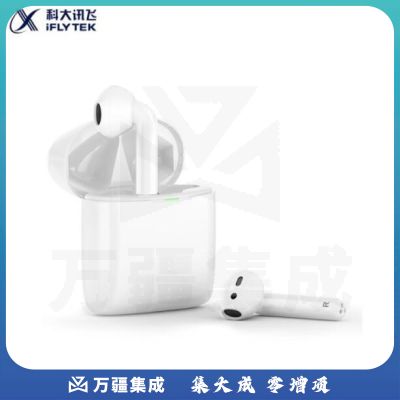 科大讯飞 iFLYBUDS智能耳机无线蓝牙耳机