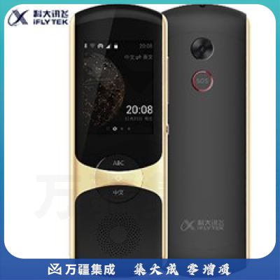科大讯飞  Easy Trans 800  2.0翻译器 离线翻译棒 香槟金