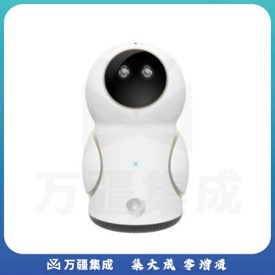 科大讯飞( iFLYTEK) TYJ001健康机器人阿尔法蛋H智能学习机器人早教机