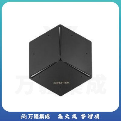 科大讯飞 IFLYTEK Sayleader S8 Pro 会议宝（会议纪要转写 办公会议录音转录 实时语音转文字 个人版）