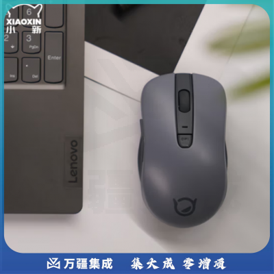 联想（Lenovo）小新蓝牙鼠标升级款M1 商务办公 轻音无线鼠标 联想戴尔惠普华为华硕小米通用（仅蓝牙连接）