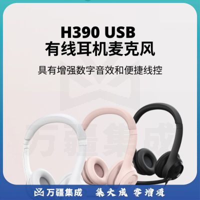 罗技（Logitech）H390 立体声USB耳机 带麦克风话筒 电脑笔记本办公耳麦