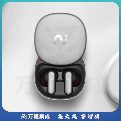 科大讯飞录音降噪会议耳机iFLYBUDS Pro 无线蓝牙耳机 主动降噪 入耳式 超长续航 录音转文字 苹果华为通用