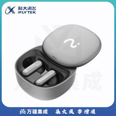 科大讯飞 XFXK-A03​ iFLYBUDS Pro录音降噪会议耳机 无线蓝牙耳机 主动降噪 入耳式 超长续航 录音转文字 XTGM202308271553500